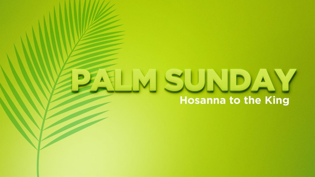 Worship Link for Palm Sunday, April 2, 2023