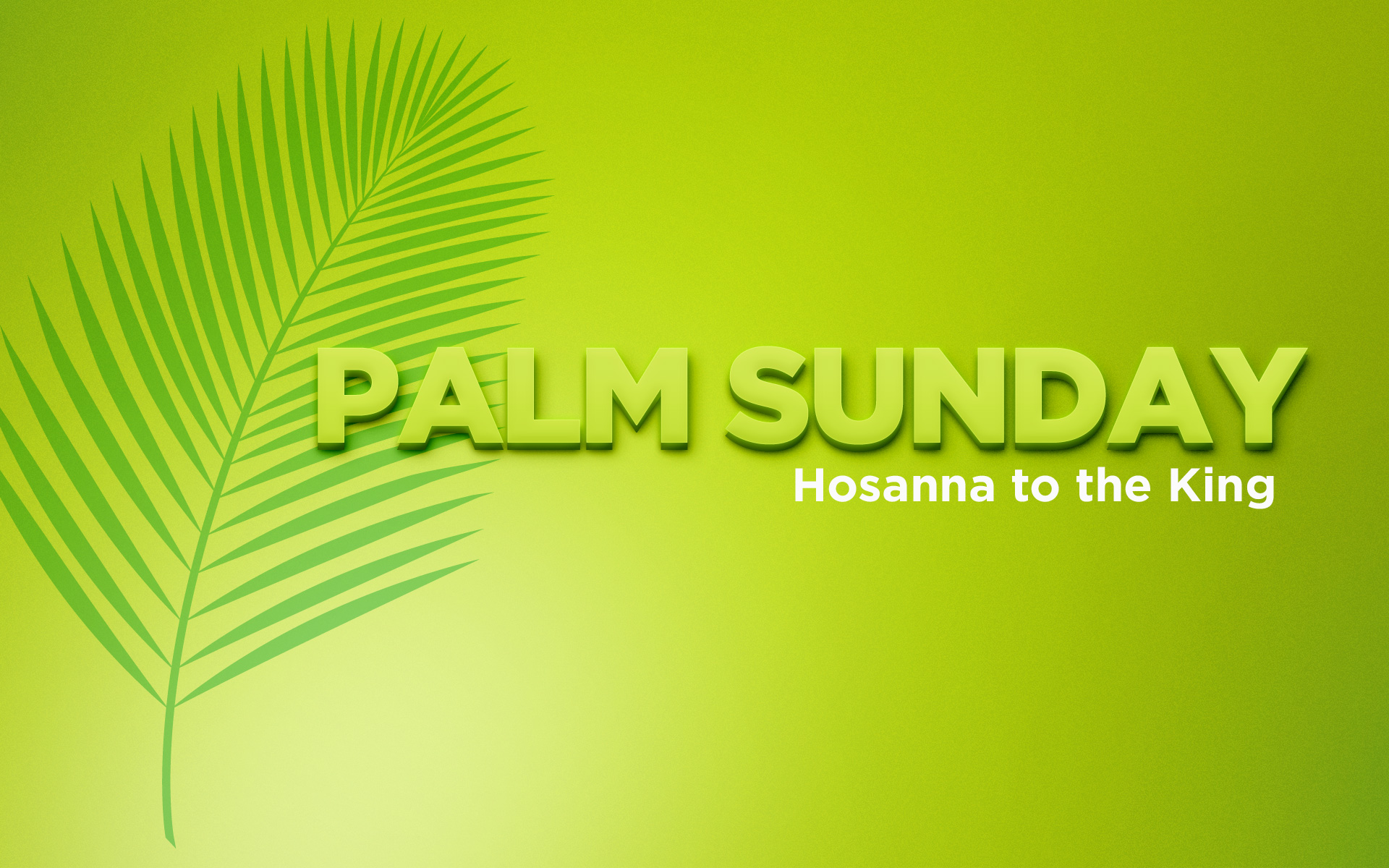Palm Sunday – The Liturgy of the Palms