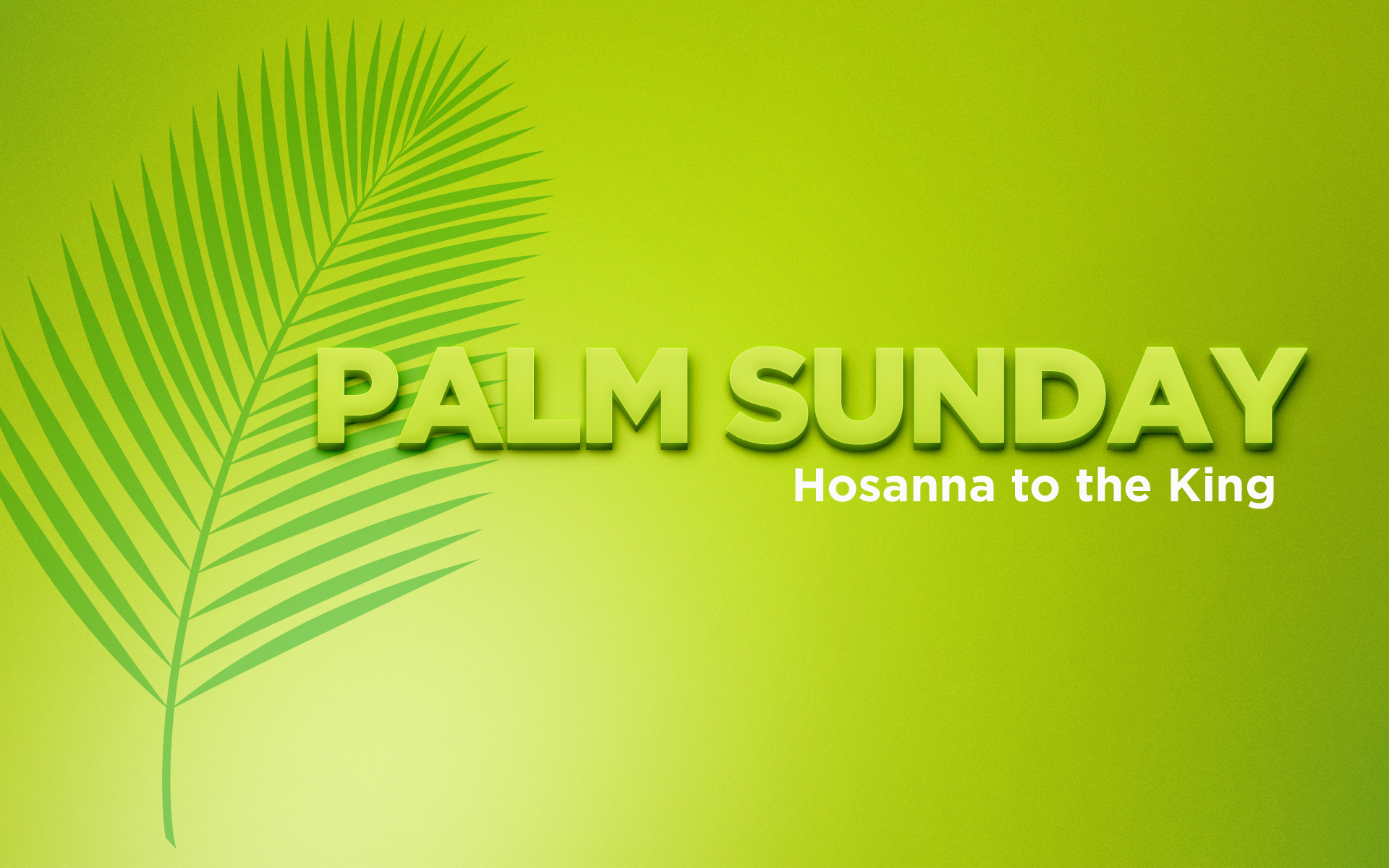 Palm Sunday – The Liturgy of the Palms