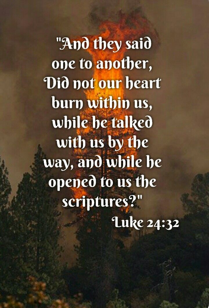 The Third Sunday of Easter, May 4, 2025