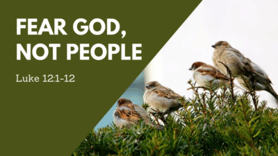 Reading for the Fourth Sunday of Lent, March 15, 2026